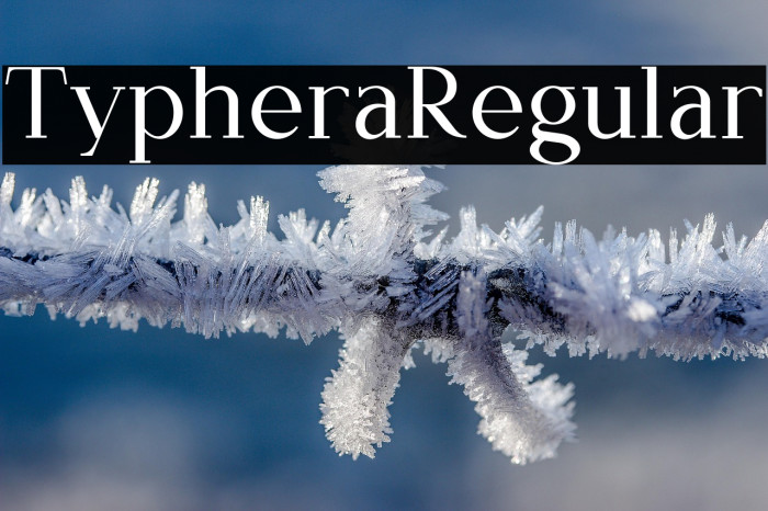 Typhera Regular Example 1