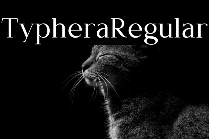 Typhera Regular Example 2