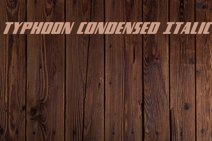 Typhoon Condensed Italic Font examples