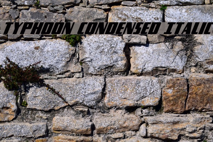 Typhoon Condensed Italic Font examples
