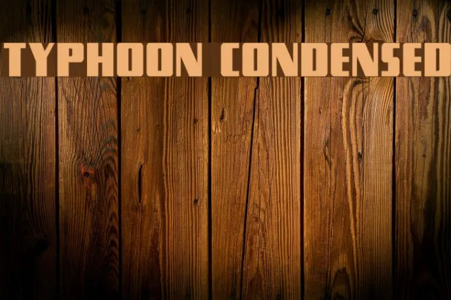 Typhoon Condensed Example 2