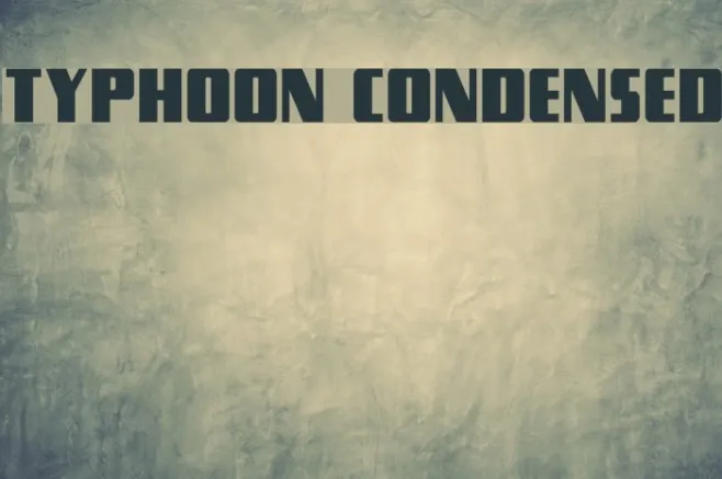 Typhoon Condensed Example 3