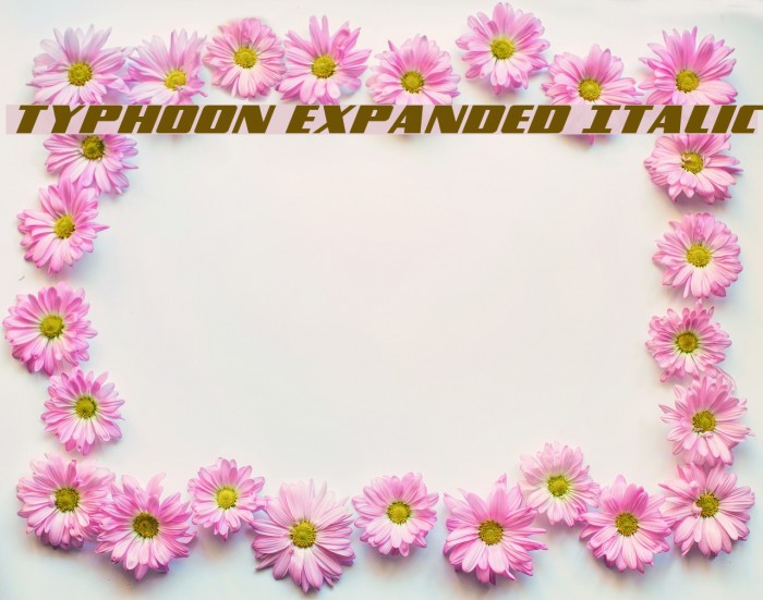 Typhoon Expanded Italic Example 1