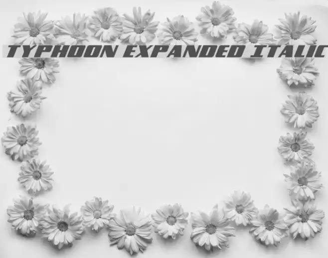 Typhoon Expanded Italic Font examples