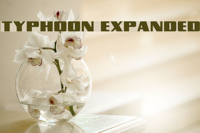 Typhoon Expanded Font examples
