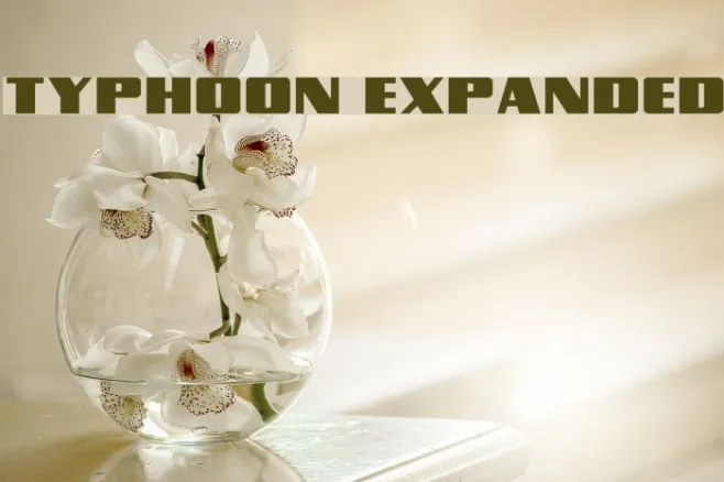 Typhoon Expanded Example 2