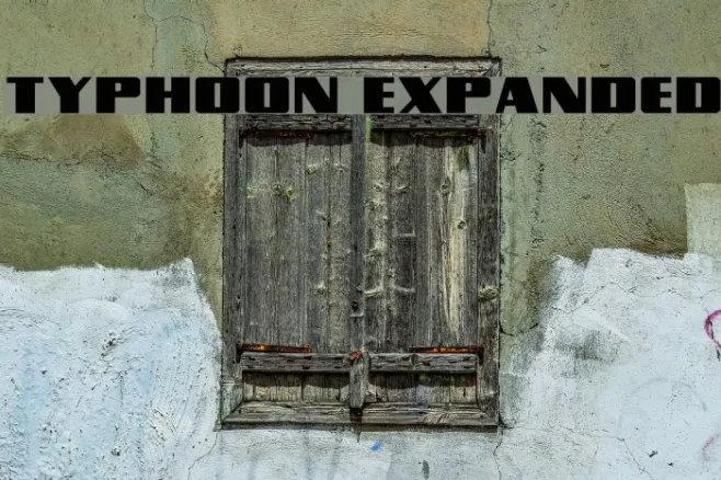 Typhoon Expanded Example 3
