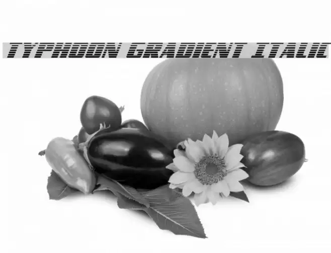 Typhoon Gradient Italic Font examples