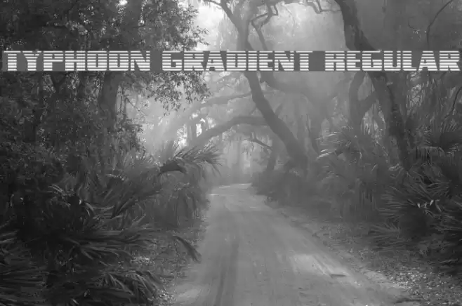 Typhoon Gradient Regular Font examples