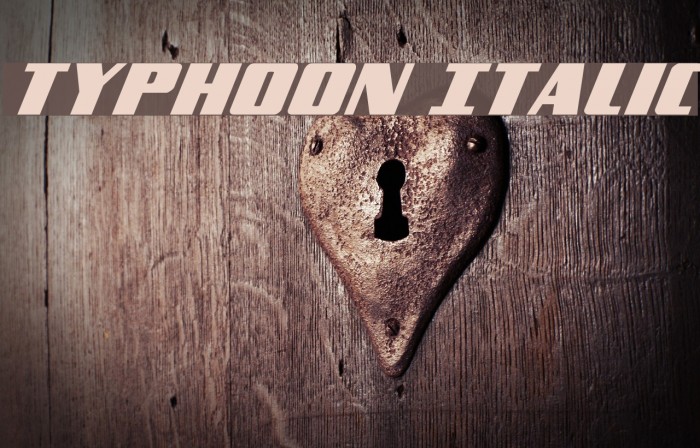 Typhoon Italic Font examples