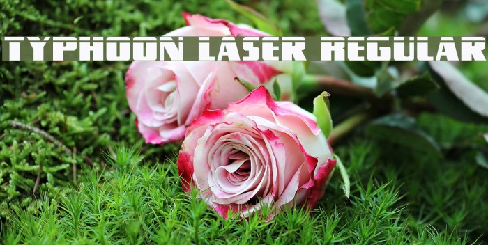 Typhoon Laser Regular Example 1