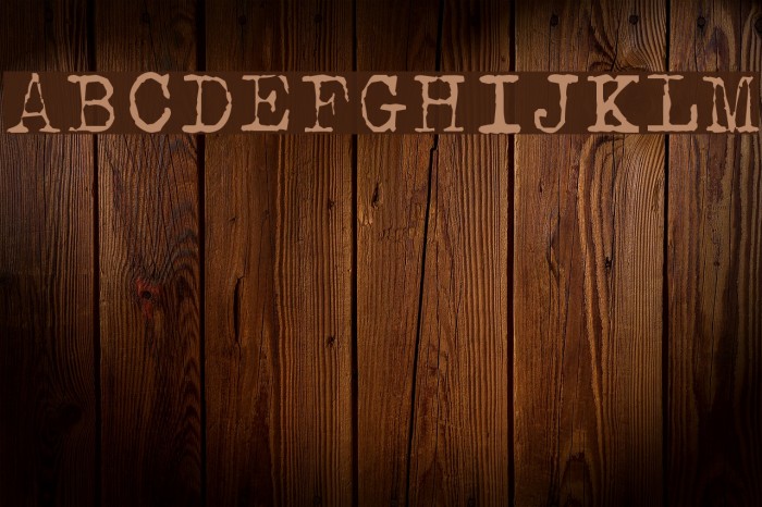 Typical Writer Font examples