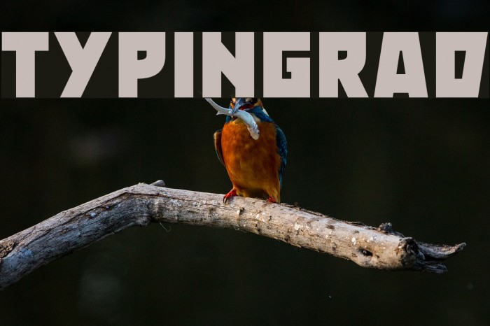 Typingrad Font examples