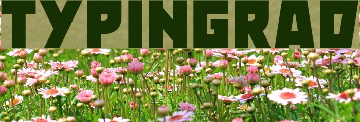 Typingrad Font examples