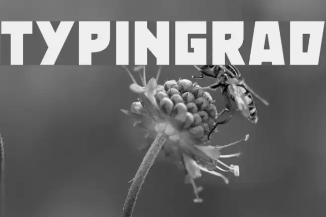 Typingrad Font examples