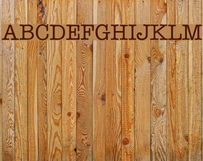 Typist Font examples