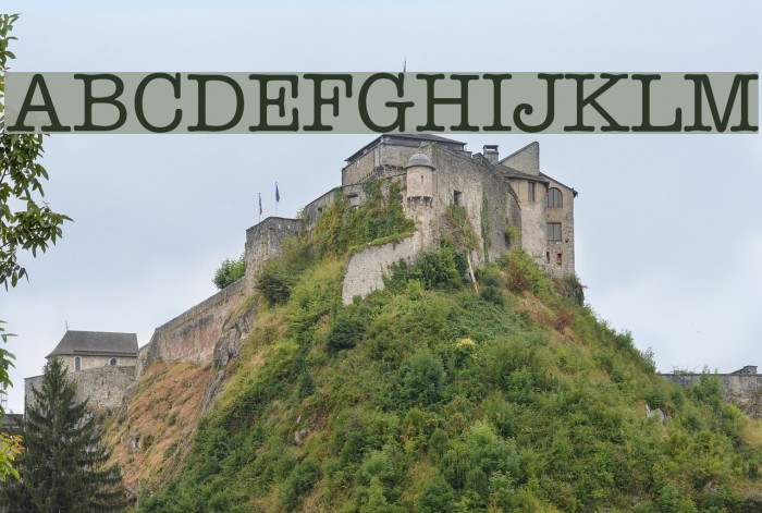 Typist Font examples