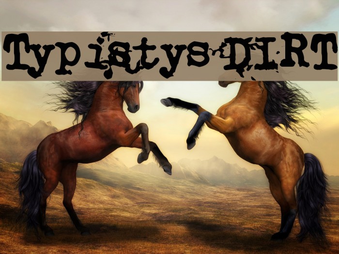 Typistys DIRT Example 2