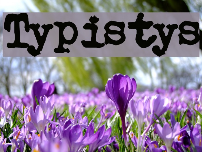 Typistys Font examples