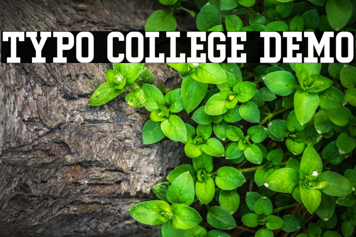 Typo College Demo Fonte examples