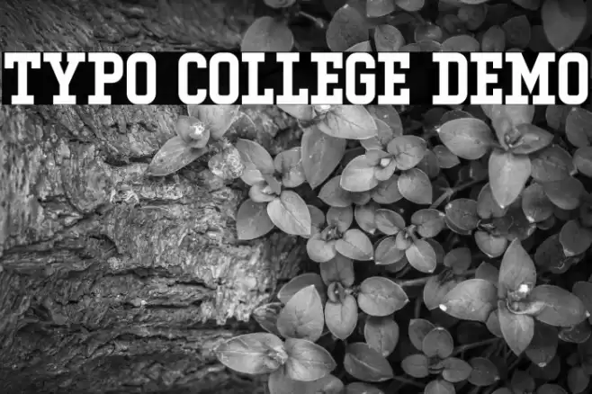 Typo College Demo Fonte examples