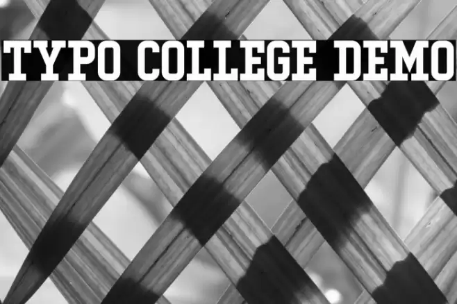 Typo College Demo Fonte examples
