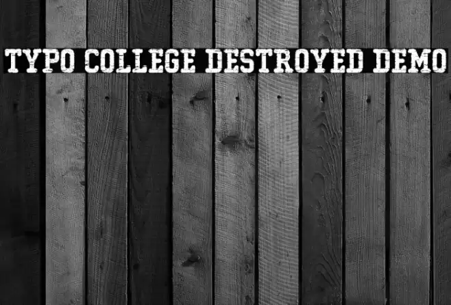 Typo College Destroyed Demo Font examples