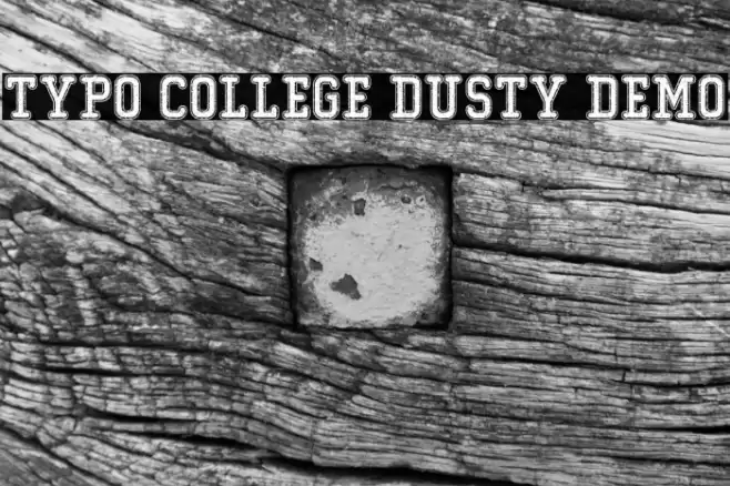 Typo College Dusty Demo Font examples