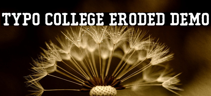 Typo College Eroded Demo Font examples