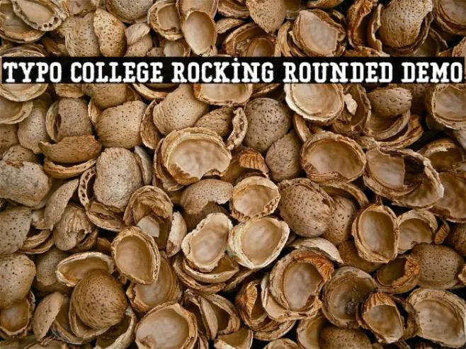 Typo College Rocking Rounded Demo Example 3