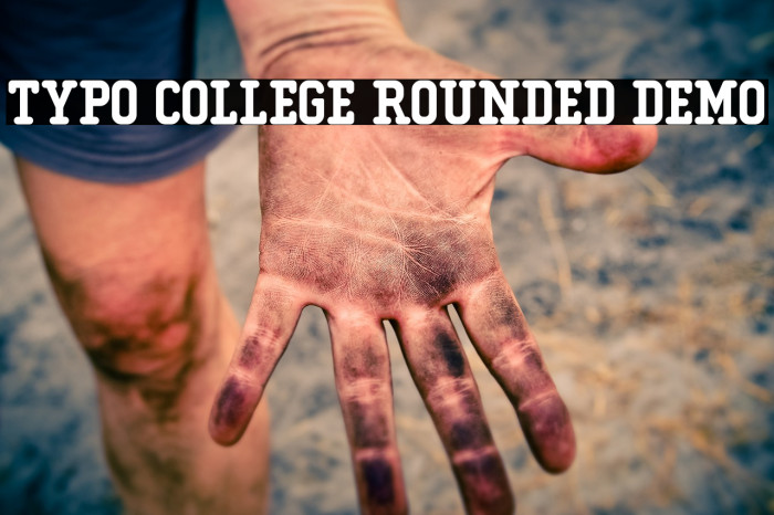 Typo College Rounded Demo Font examples