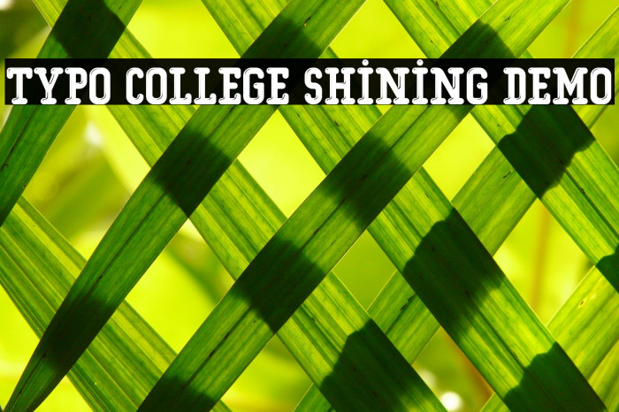 Typo College Shining Demo Font examples