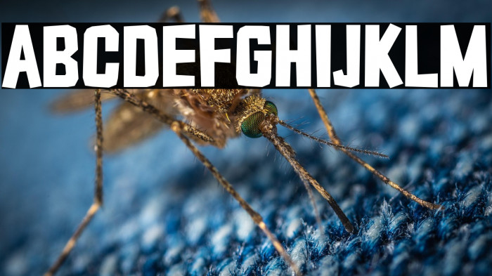 Typo Cut-Out Demo Bold Example 3