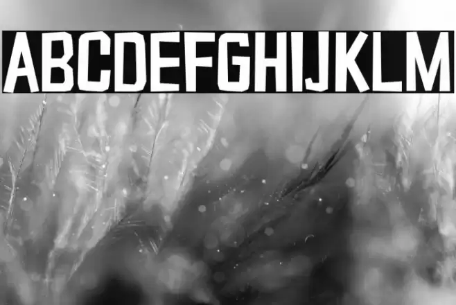 Typo Cut-Out Demo Font examples