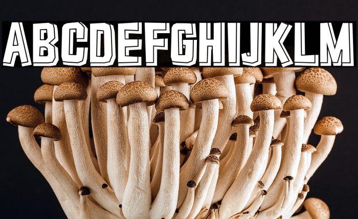 Typo Cut-Out Shadowed Demo Example 2