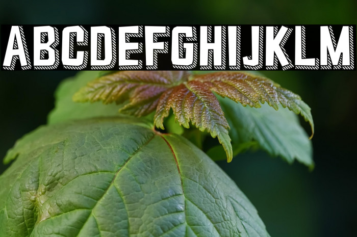 Typo Cut-Out Striped Demo Example 1