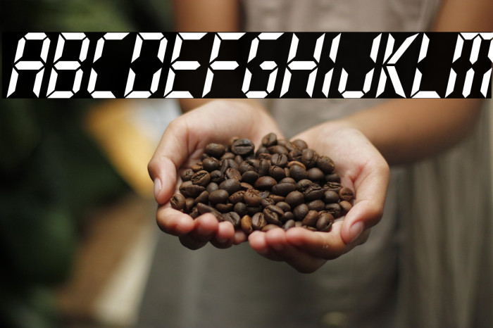 Typo Digit Demo Italic Example 2