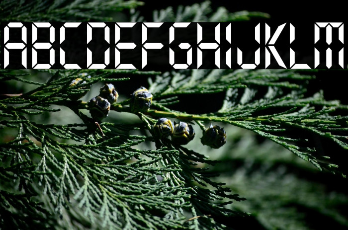 Typo Digit Demo Example 2