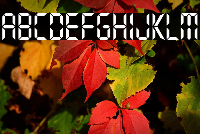 Typo Digit Demo Example 3