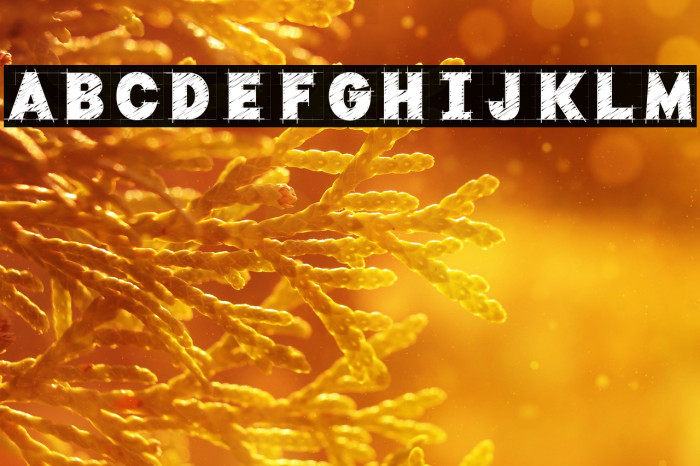 Typo Draft Demo Example 2