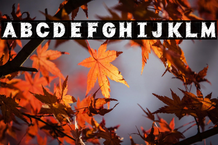 Typo Draft Demo Example 3