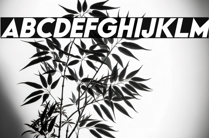 Typo Formal Demo Bold Italic Example 1