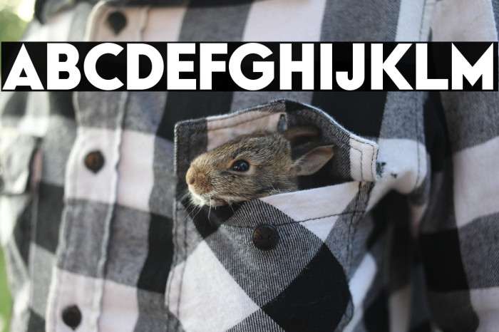 Typo Formal Demo Bold Example 3