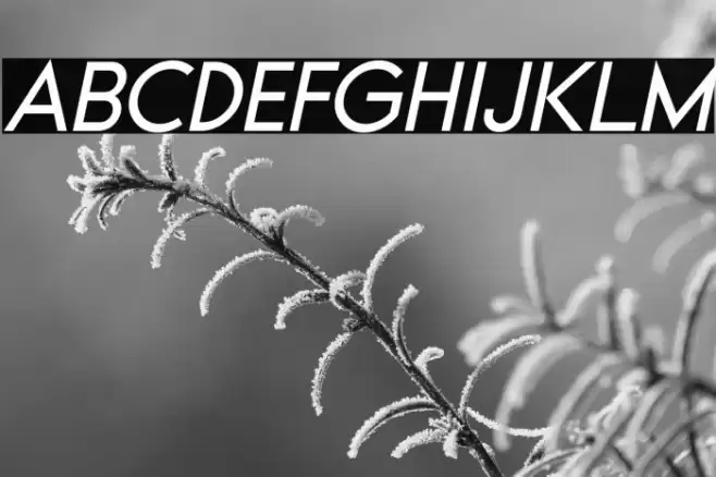 Typo Formal Demo Italic Font examples