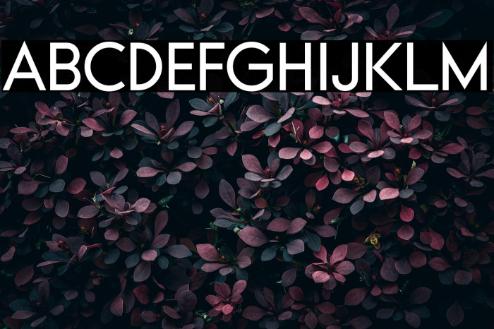 Typo Formal Demo Example 3