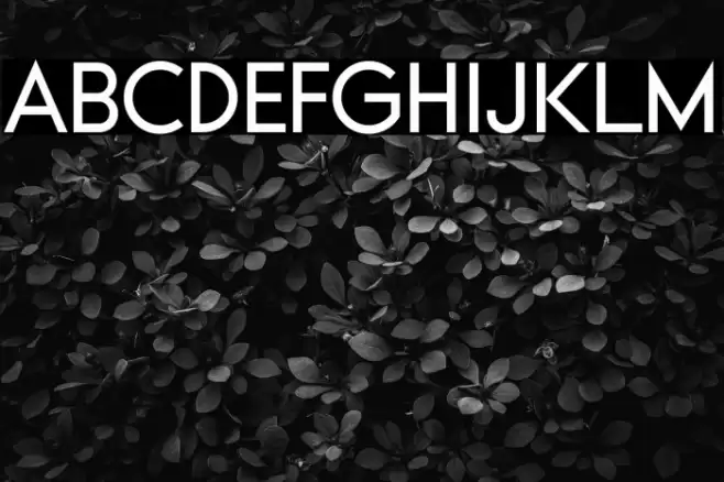 Typo Formal Demo Font examples