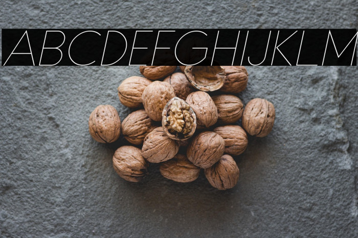 Typo Formal Light Demo Italic Example 2