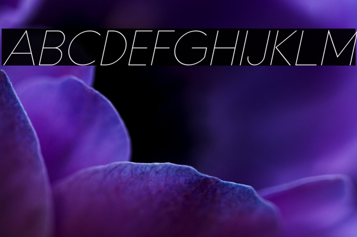 Typo Formal Light Demo Italic Example 3