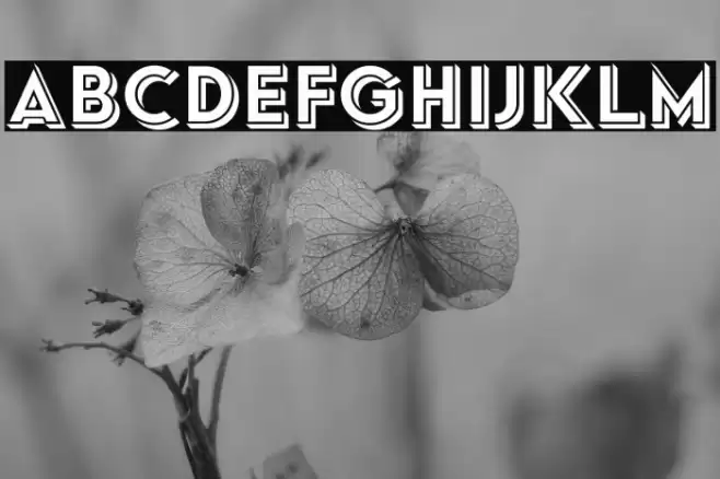 Typo Formal Shadowed Demo Font examples