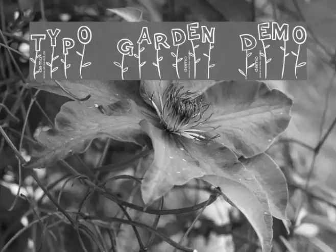 Typo Garden Demo Fonte examples